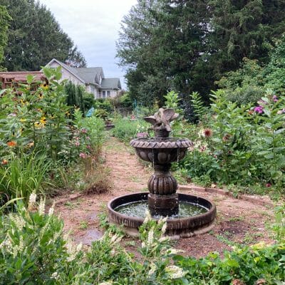 Pollinator Garden Harford County Maryland