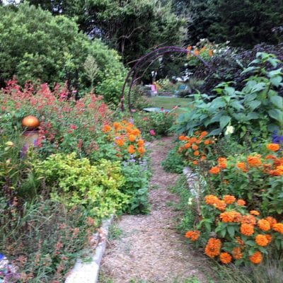 Pollinator Garden Harford County Maryland