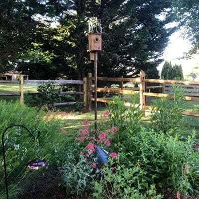 Pollinator Garden Harford County Maryland